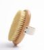 Brosse exfoliante corps